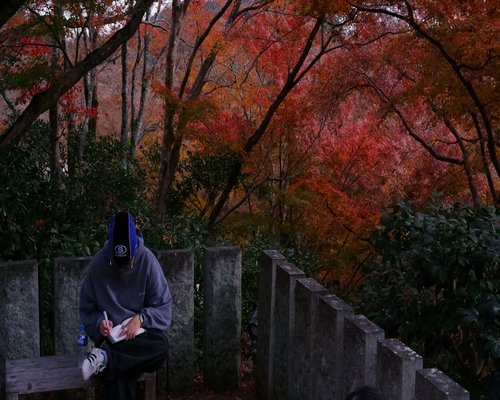 A calm person reading a book on a park bench in autumn